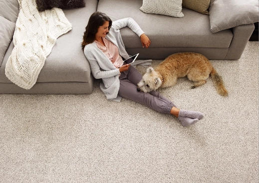 Comfortable Carpet | Legend Flooring