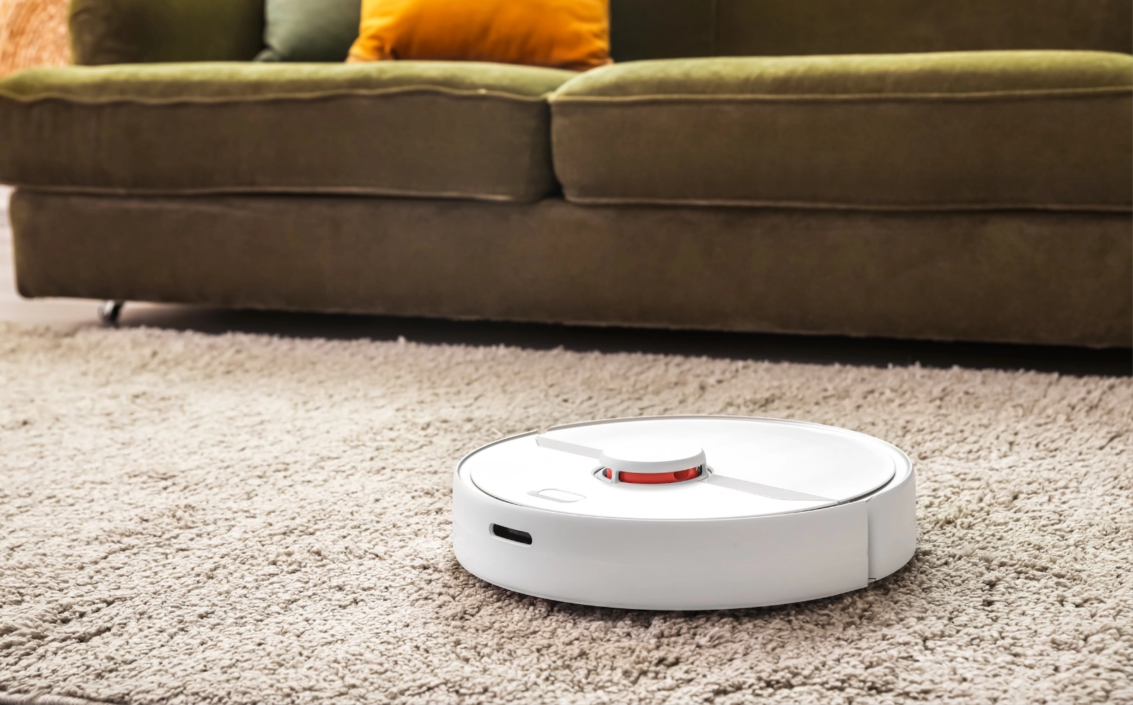 DailyCarpetCare Carpet care | Legend Flooring